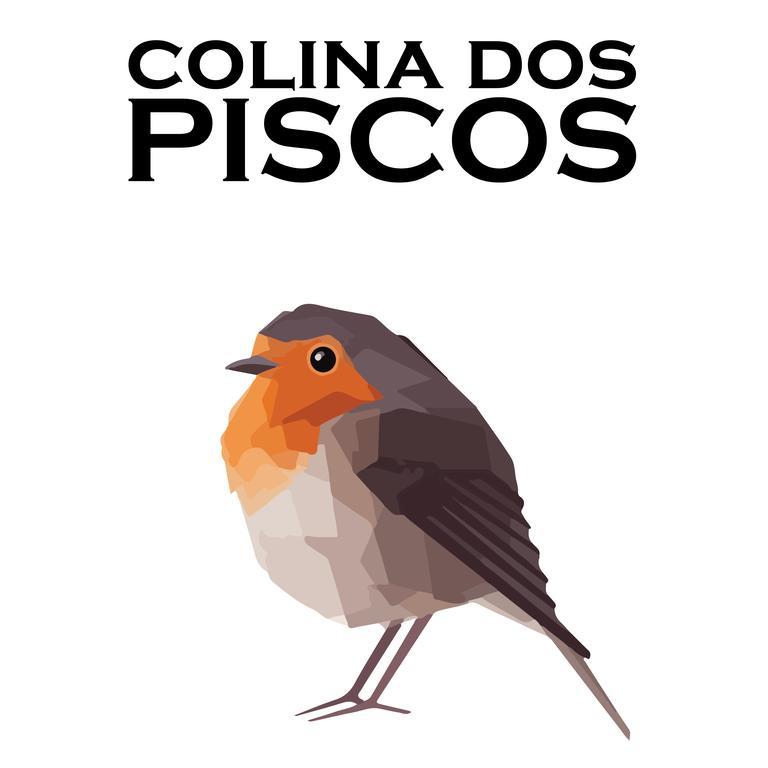 Colina Dos Piscos Hotel Casais da Abadia ภายนอก รูปภาพ
